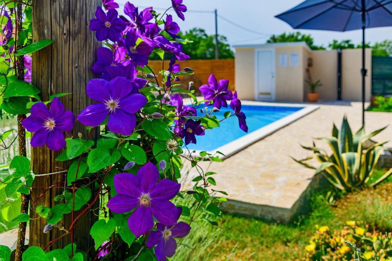 הוילה Smokovic Sunny House מראה חיצוני תמונה