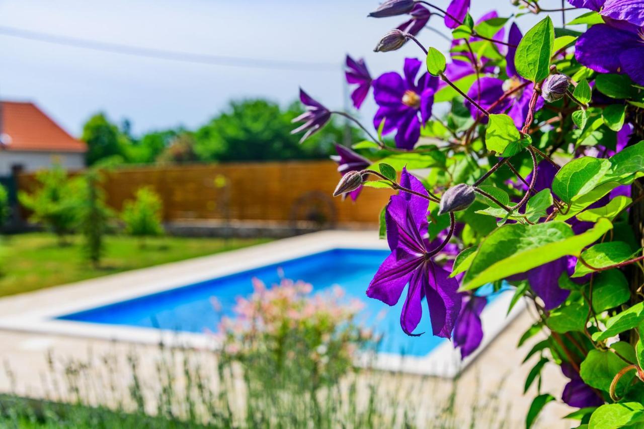 הוילה Smokovic Sunny House מראה חיצוני תמונה