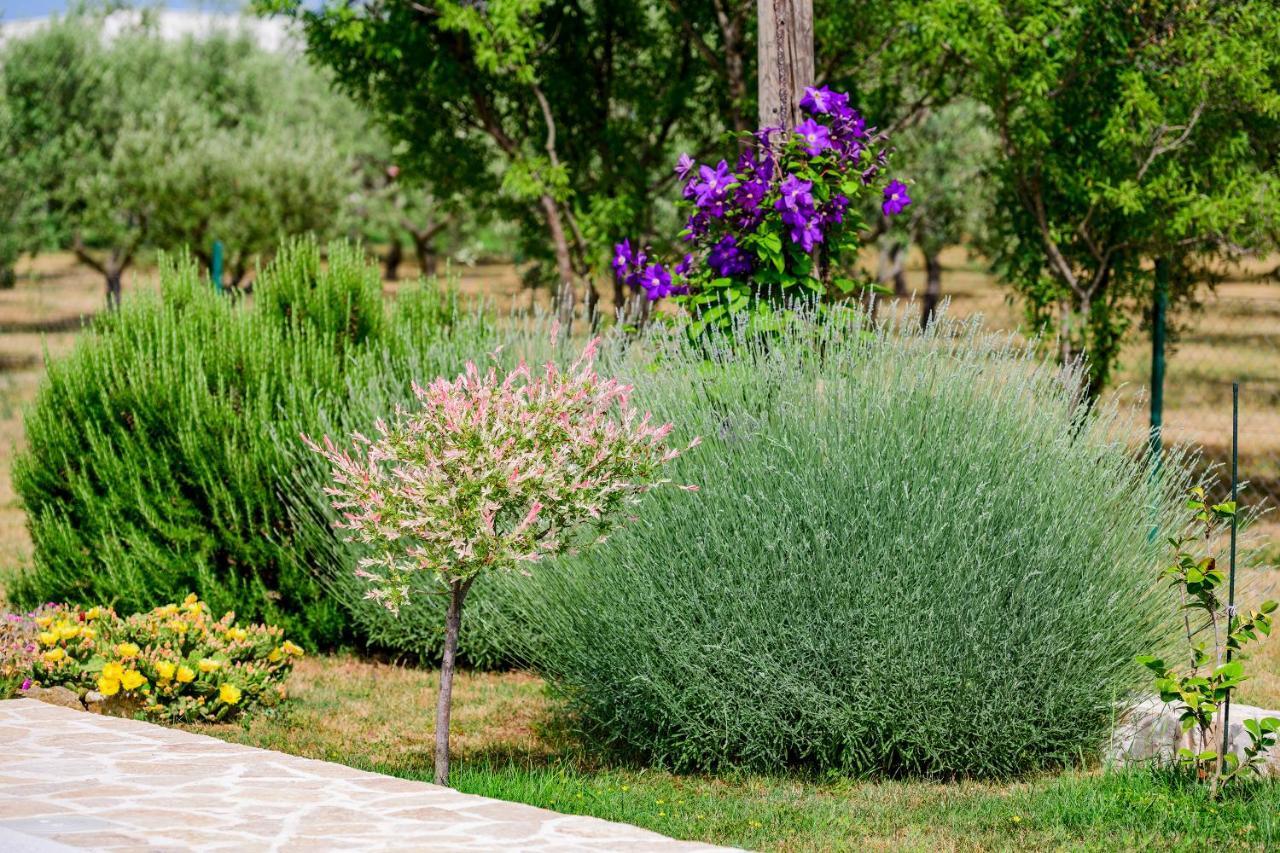 הוילה Smokovic Sunny House מראה חיצוני תמונה