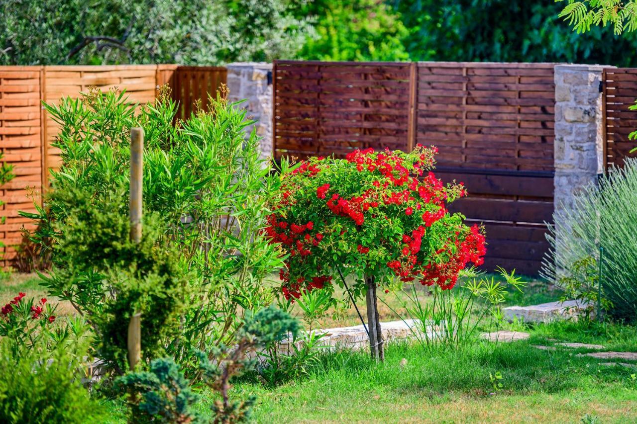 הוילה Smokovic Sunny House מראה חיצוני תמונה