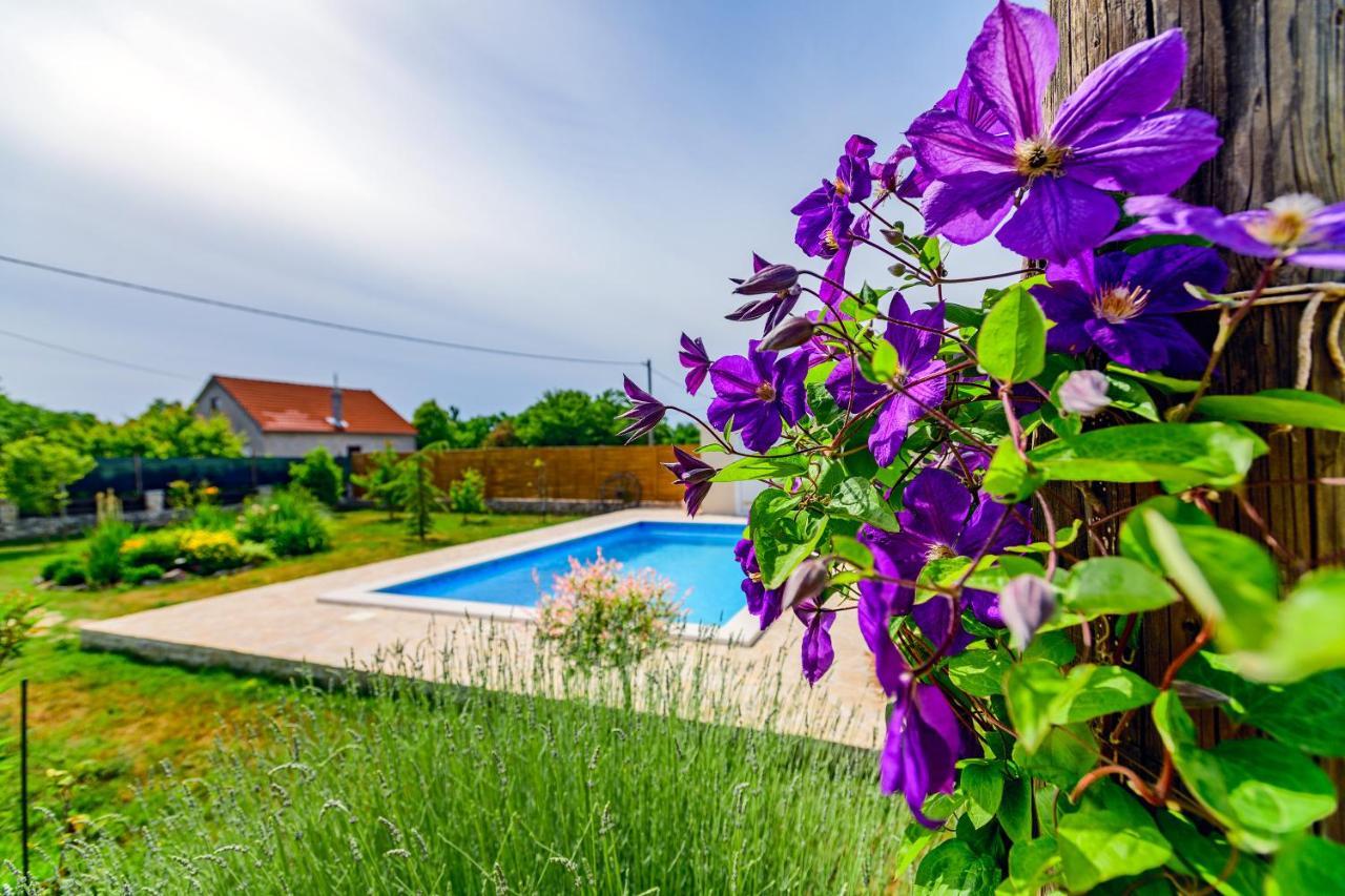 הוילה Smokovic Sunny House מראה חיצוני תמונה